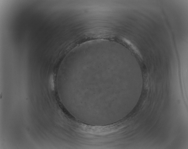 X0000074000026200608281351