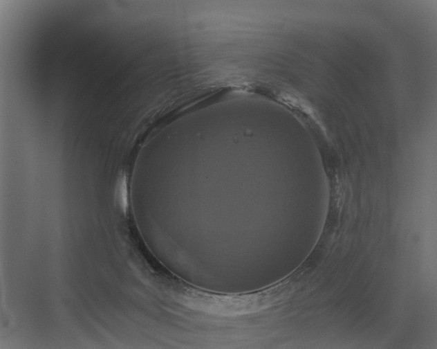 X0000074000027200608281351