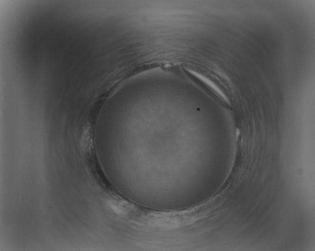 X0000074000029200608281351