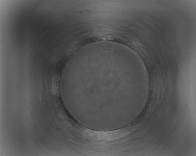 X0000074000030200608281351