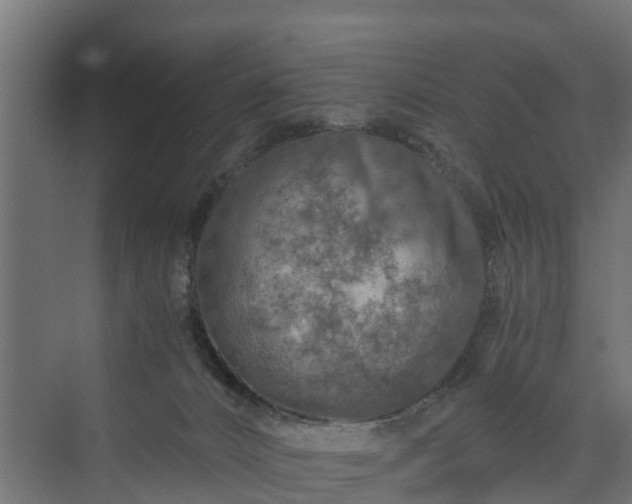 X0000074000032200608281351