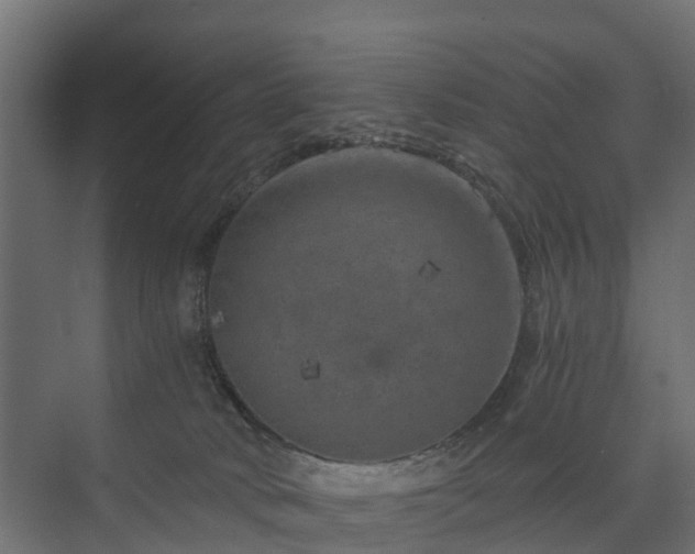 X0000074000034200608281351