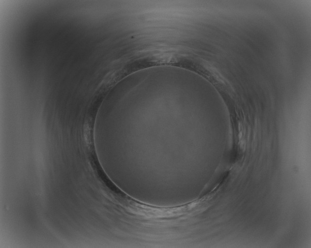 X0000074000035200608281351