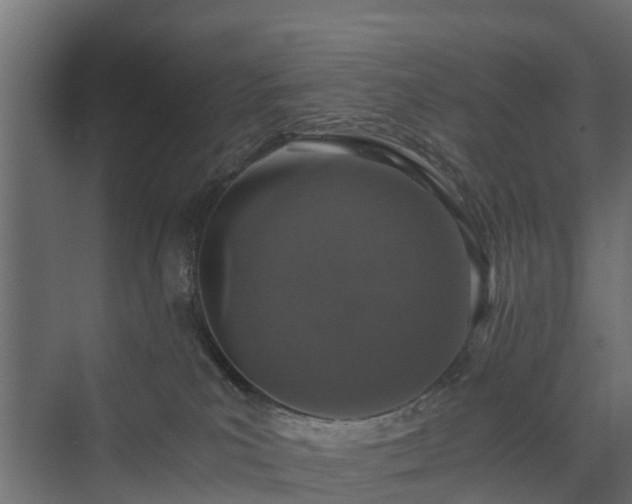 X0000074000039200608281351