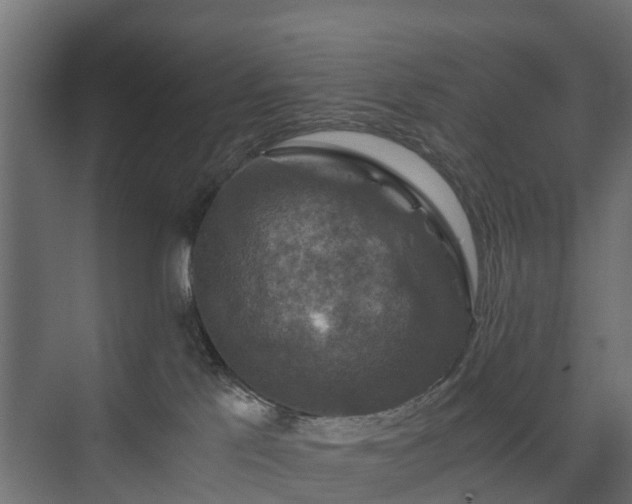 X0000074000041200608281351