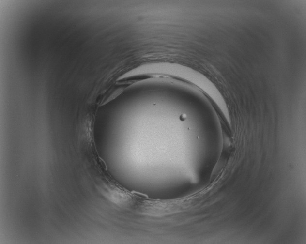 X0000074000045200608281351