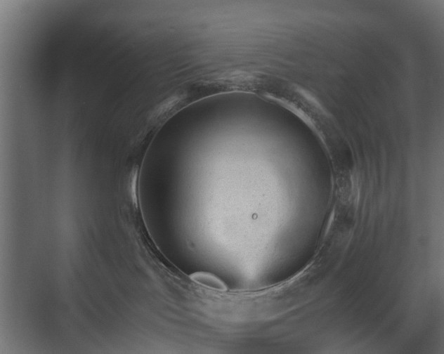 X0000074000047200608281351