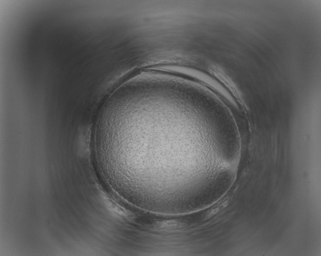 X0000074000058200608281350
