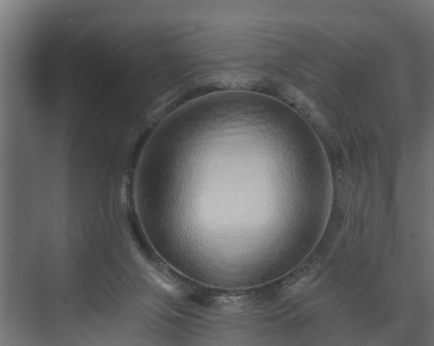X0000074000071200608281350