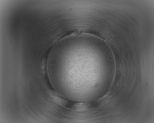 X0000074000082200608281351