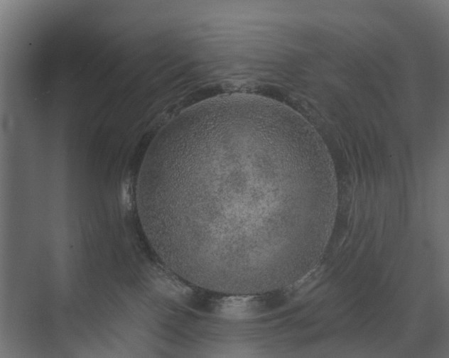 X0000074000090200608281351