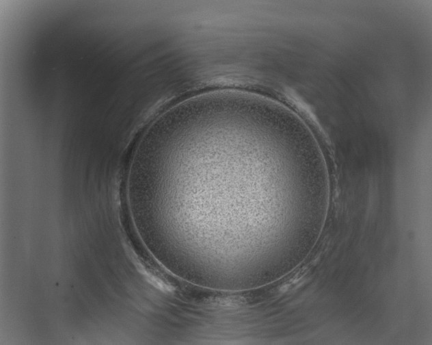 X0000074000106200608281350