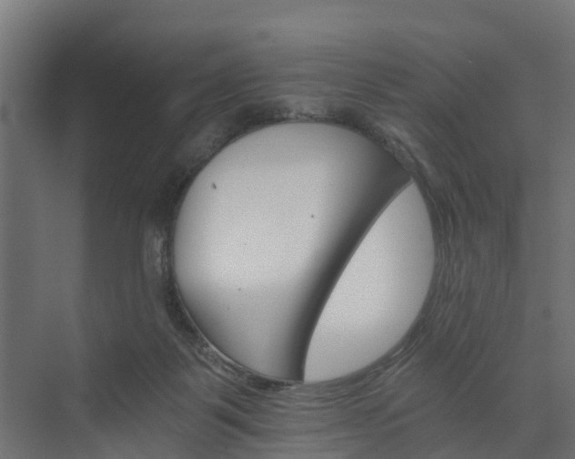 X0000074000123200608281350