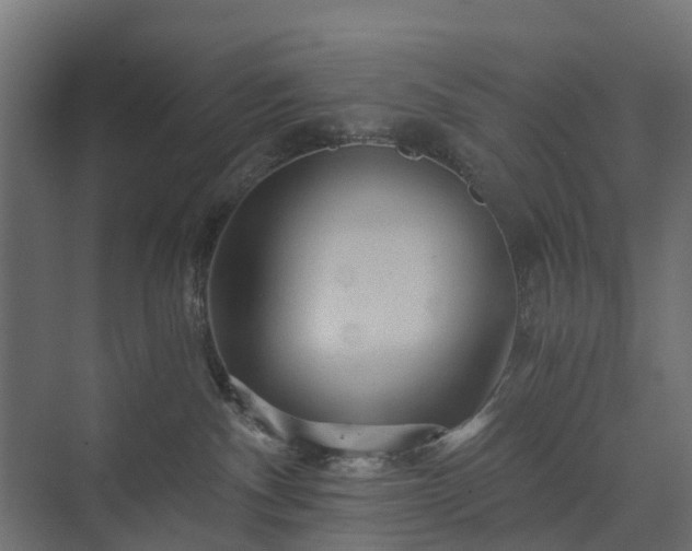 X0000074000140200608281349