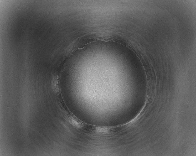 X0000074000144200608281349