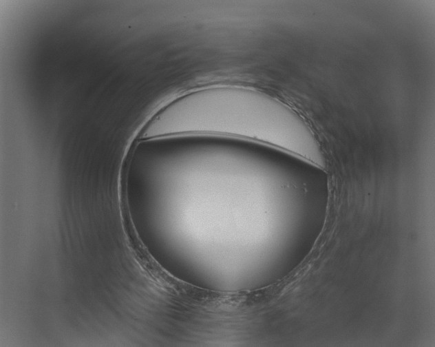 X0000074000148200608281349