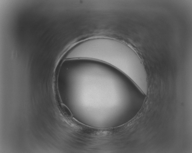 X0000074000152200608281349