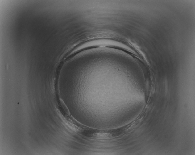 X0000074000154200608281349
