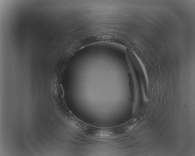 X0000074000223200608281348