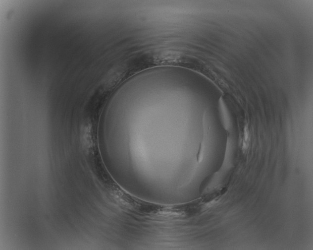 X0000074000224200608281348