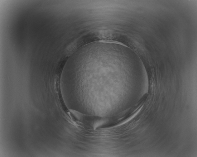 X0000074000233200608281348