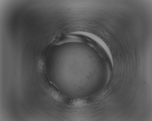 X0000074000235200608281348