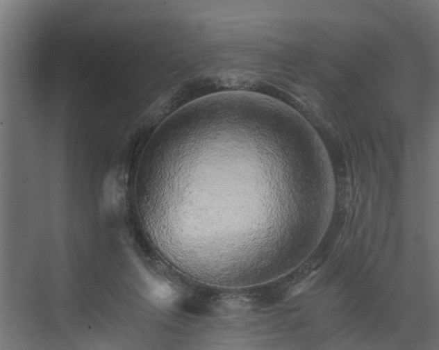 X0000074000263200608281347