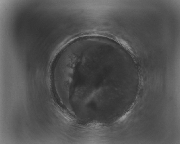 X0000074000295200608281347