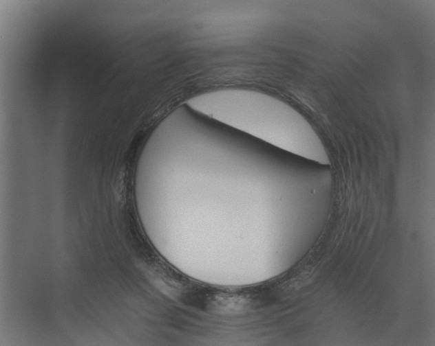 X0000074000311200608281346