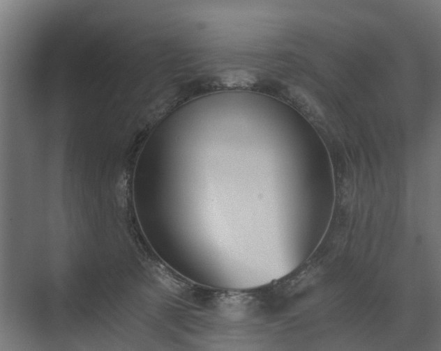 X0000074000321200608281346