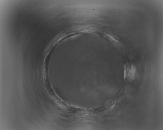 X0000074000339200608281345