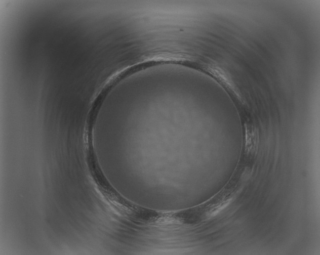 X0000074000348200608281345