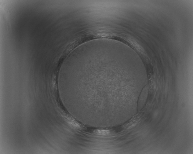 X0000074000361200608281346