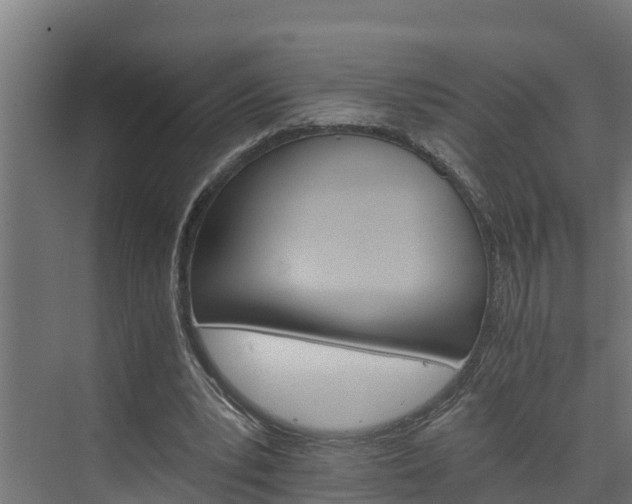 X0000074000391200608281345