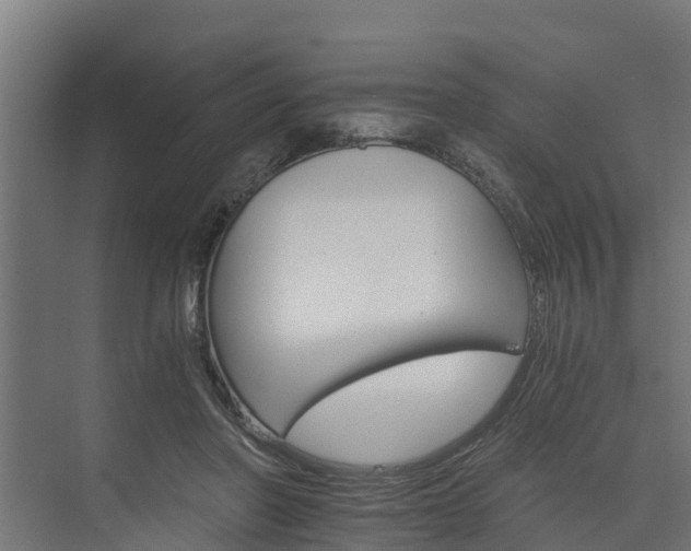 X0000074000406200608281345