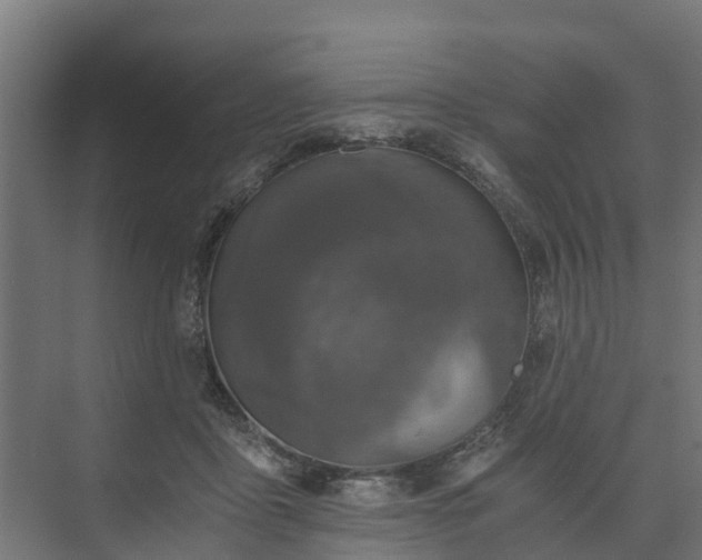 X0000074000411200608281345