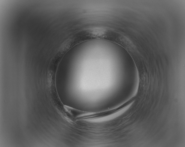 X0000074000412200608281345