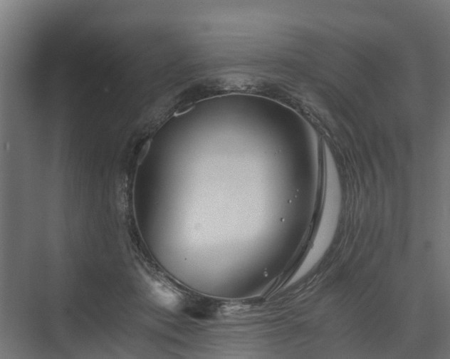X0000074000413200608281345