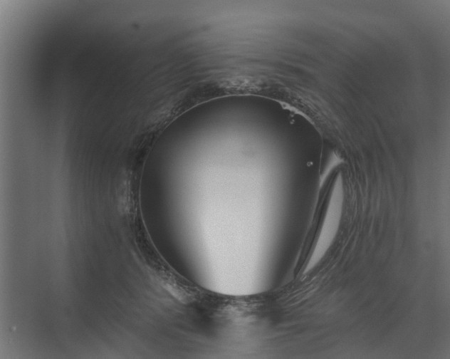 X0000074000416200608281345