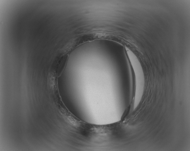 X0000074000417200608281345