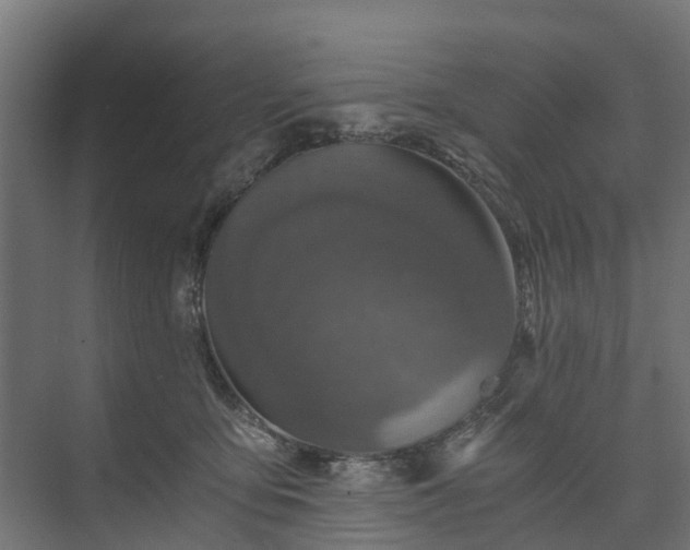 X0000074000419200608281345