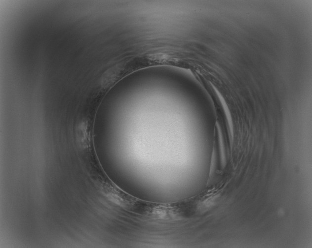 X0000074000420200608281345