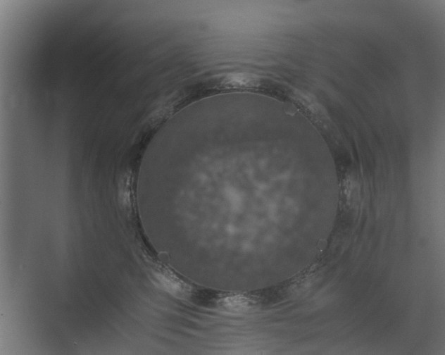 X0000074000423200608281345