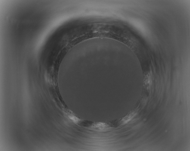 X0000074000431200608281344