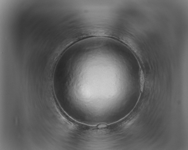 X0000074000433200608281344