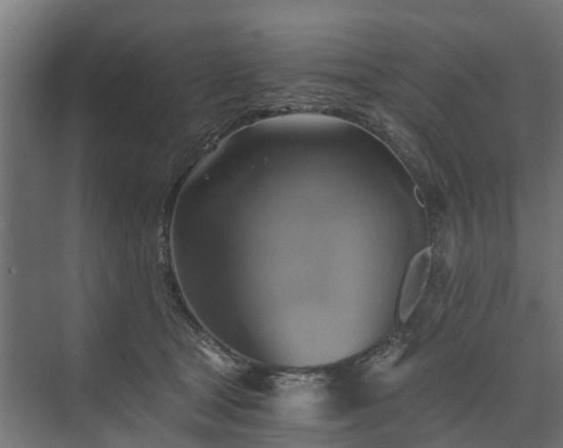 X0000074000465200608281344