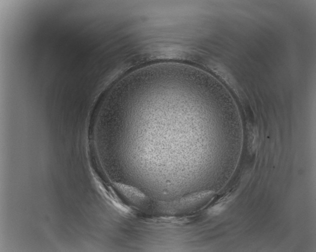 X0000074000482200608281344
