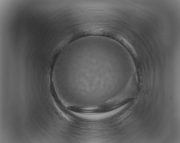 X0000074000493200608281343