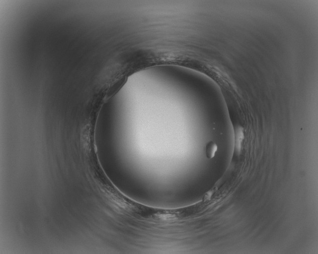 X0000074000509200608281343