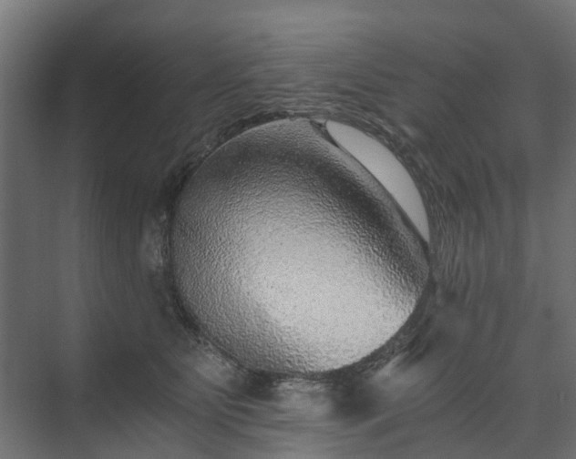 X0000074000515200608281343